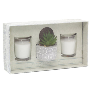 Aromatherapy Gift Set Scented Candles And Faux Succulent Plant | Fragrance Tealight Candles With Planter | Candle Gift Box - One Supplied
