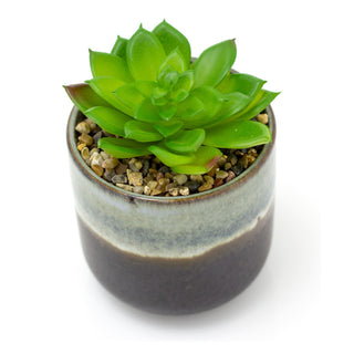 Ombre Glaze Artificial Succulent Potted Plant | Faux Plant And Plant Pot - 13cm