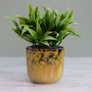 Ombre Glaze Ceramic Plant Pot Decorative Cachepot Planter Indoor Flower Pot 9cm