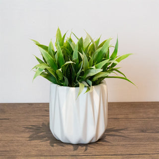 White Ceramic Ribbed Plant Pot Decorative Cachepot Planter Indoor Planter - 11cm