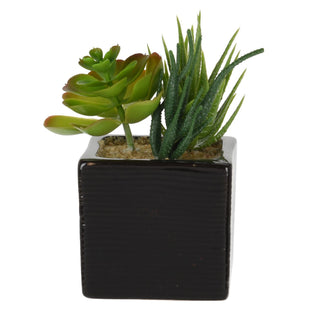 Stylish Artificial Succulent Potted Plants | Faux Plant And Ceramic Planter | Fake House Plant Home Decor