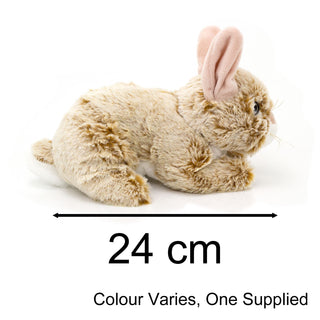 Cuddly Bunny Rabbit Soft Toy | 24cm Bunny Stuffed Animal for Kids