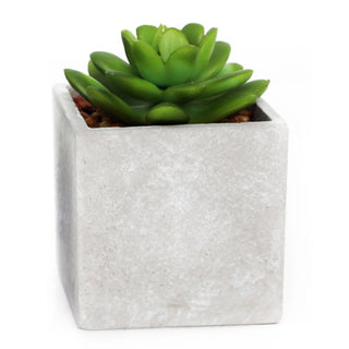 Artificial Fake Succulent Cactus Plant With Faux Cement Planter Pot