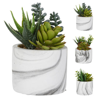 Marble Effect Artificial Succulent Potted Plants | Faux Plant And Planter Grey Swirl | Fake House Plant Home Decor - Design Varies One Supplied