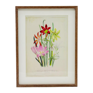 Framed Wildflower Prints | Botanical Prints Floral Pictures For Walls - 31x41cm