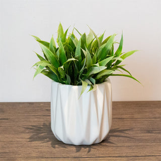 White Ceramic Ribbed Plant Pot Decorative Cachepot Planter Indoor Planter - 9cm