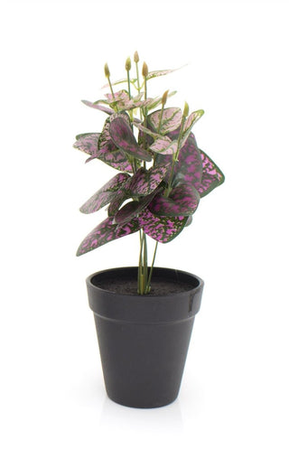 Artificial Faux Decorative Plant With Planter Pot ~ Design Varies - One Supplied