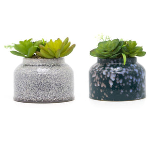 Artificial Succulent Potted Plant | Faux Plant And Ceramic Planter | Fake House Plant Home Decor