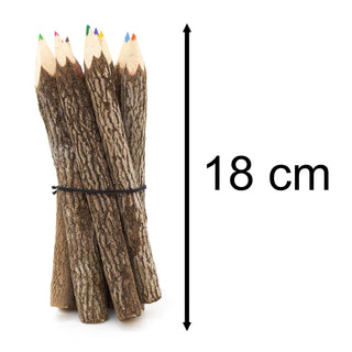 Pack Of 10 Large Tamarind Tree Branch Twig Pencils | 10 Piece Colouring Pencils Rustic Wooden Pencils | 10 Multi Coloured Pencils Eco Friendly Party Bag Fillers