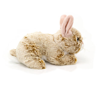 Cuddly Bunny Rabbit Soft Toy | 24cm Bunny Stuffed Animal for Kids