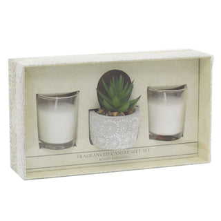 Aromatherapy Gift Set Scented Candles And Faux Succulent Plant | Fragrance Tealight Candles With Planter | Candle Gift Box - One Supplied