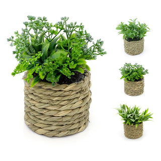 14cm Artificial Plant In Decorative Rope Planter Small Fake Plant | Plant Pots Indoor Ferns Decorative Artificial Plant | Faux Artificial Potted Plant - Design Varies One Supplied