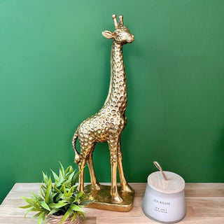Large Gold Resin Giraffe Statue Figurine | Wildlife Safari Animal Ornament 51cm