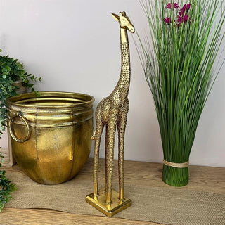 Gold Standing Giraffe Ornament | Wildlife Safari Golden Giraffe Statue - 44cm