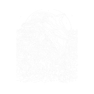 Janod Dolphins Paint By Numbers Set | 2 Watercolour Paintings | Arts & Crafts 7+