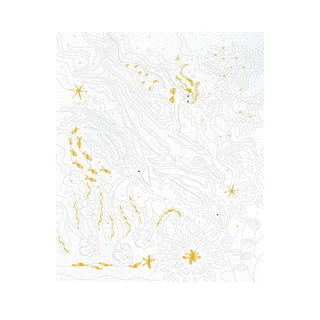 Janod Dolphins Paint By Numbers Set | 2 Watercolour Paintings | Arts & Crafts 7+