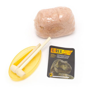 Jurassic World Dominion Dinosaur Skull Dig | T - Rex Dinosaur Dig Kit Dinosaur Fossil Dig Up Kit | Dinosaur Fossils Palaeontology Dig Out Set - Dinosaur Gifts