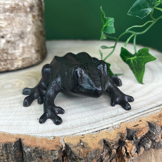 Metal Frog Ornament | Frog Statue Indoors Garden Animal Figurine - 9.5cm