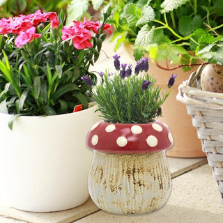 Novelty Ceramic Toadstool Garden Planter | Mushroom Planters Indoor Flower Pots | Fairy Garden Plant Pot