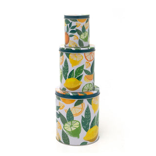 Set of 3 Citrus Zest Nesting Tins | 3 - piece Metal Storage Tins with Lids