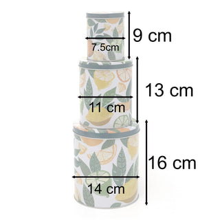 Set of 3 Citrus Zest Nesting Tins | 3 - piece Metal Storage Tins with Lids