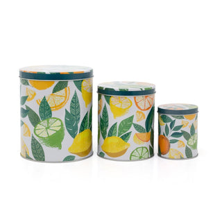 Set of 3 Citrus Zest Nesting Tins | 3 - piece Metal Storage Tins with Lids