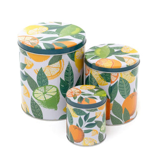 Set of 3 Citrus Zest Nesting Tins | 3 - piece Metal Storage Tins with Lids