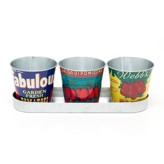 Set of 3 Vintage - Style Tomato Tin Planters with Tray Retro Windowsill Herb Pots