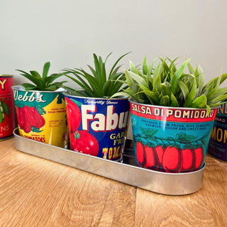 Set of 3 Vintage - Style Tomato Tin Planters with Tray Retro Windowsill Herb Pots