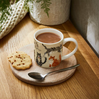 Ulster Weavers Feline Friends | Cats New Bone China Coffee Mug - 250ml