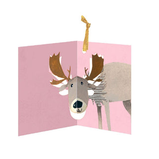 Woodland Animals Christmas Advent Calendar with 24 Pop - up Hanging Decorations