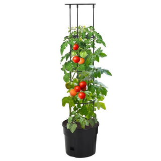 4 Tier Tomato Tower Planter | Self Watering Tomato Plant Pot With Support Cage