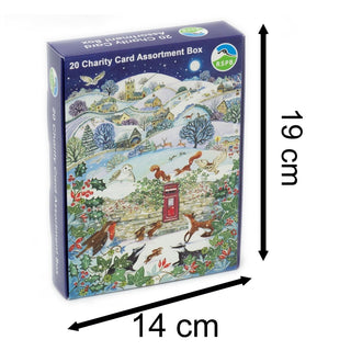 Pack Of 20 RSPB Charity Christmas Cards | Box of 20 Wildlife Christmas Cards