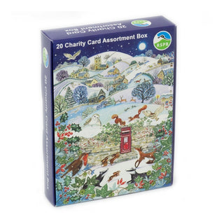 Pack Of 20 RSPB Charity Christmas Cards | Box of 20 Wildlife Christmas Cards