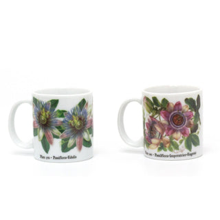Set Of 2 Single Shot 2oz Ceramic Espresso Cups | 60ml Botanical Demitasse China Mugs | Mini Coffee Shot Cup Set