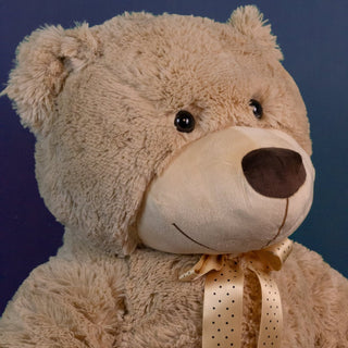 CAROUSSENTIALS: Giant Teddy Bear Soft Cuddly Toy - Carousel