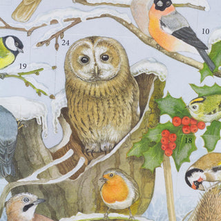 Birds in Winter Christmas Advent Calendar with Sound | Birdsong Advent Calendar