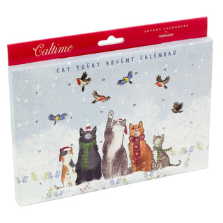 Christmas Cat Treat Advent Calendar | Pet Treat Advent Calendar For Cats Cat Xmas Treats | Christmas Treats For Cats Cat Christmas Calendar