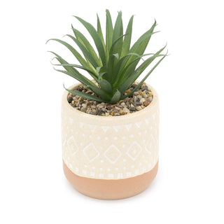 Kasbah Artificial Succulent Potted Plant | Faux Plant And Ceramic Planter | Fake House Plant Home Decor - Design Varies One Supplied