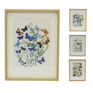 Framed Butterfly Prints | Wildlife Butterflies Pictures For Walls - 31x41cm
