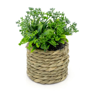 14cm Artificial Plant In Decorative Rope Planter Small Fake Plant | Plant Pots Indoor Ferns Decorative Artificial Plant | Faux Artificial Potted Plant - Design Varies One Supplied