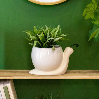 Stoneware Glazed Animal Planter | Garden Plant Pot Indoor Flower Pot - Snail