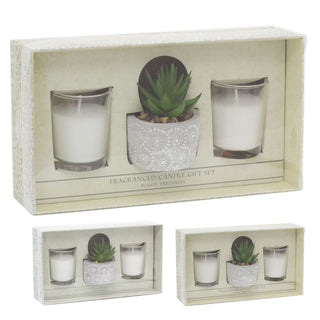 Aromatherapy Gift Set Scented Candles And Faux Succulent Plant | Fragrance Tealight Candles With Planter | Candle Gift Box - One Supplied