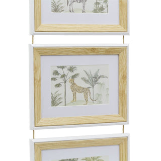 3 - Aperture Safari Animal Pictures for Wall, Set of 3 Picture Frames Wall Art Set