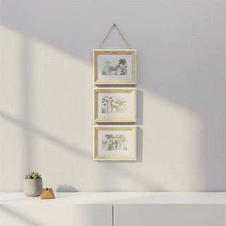3 - Aperture Safari Animal Pictures for Wall, Set of 3 Picture Frames Wall Art Set