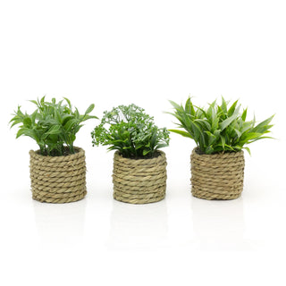 14cm Artificial Plant In Decorative Rope Planter Small Fake Plant | Plant Pots Indoor Ferns Decorative Artificial Plant | Faux Artificial Potted Plant - Design Varies One Supplied