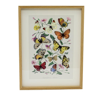 Framed Butterfly Prints | Wildlife Butterflies Pictures For Walls - 31x41cm