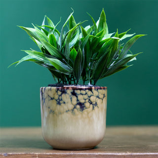 Ombre Glaze Ceramic Plant Pot Decorative Cachepot Planter Indoor Flower Pot 9cm