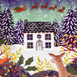 Christmas Advent Calendar A Night Before Christmas | Picture Advent Calendar