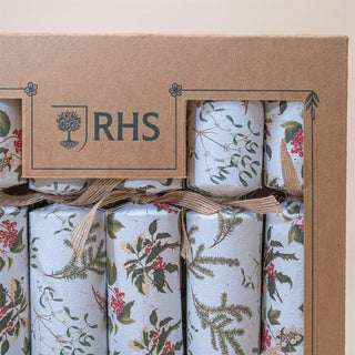 6 Plantable Christmas Crackers, Botanical Print with Wildflower Seeds
